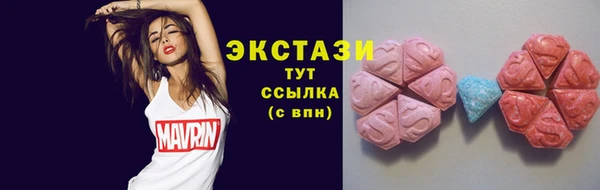 мдпв Туринск