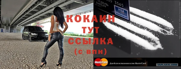 ALPHA-PVP Гусев
