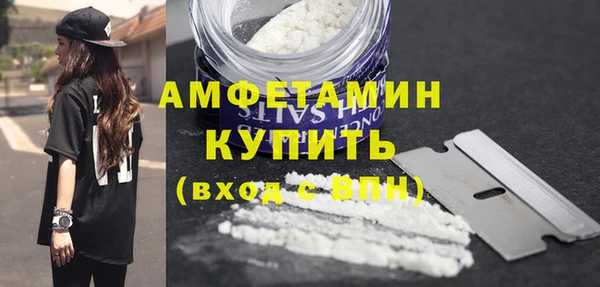 амф Гусь-Хрустальный