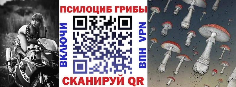Галлюциногенные грибы мицелий  наркошоп  Заволжск 